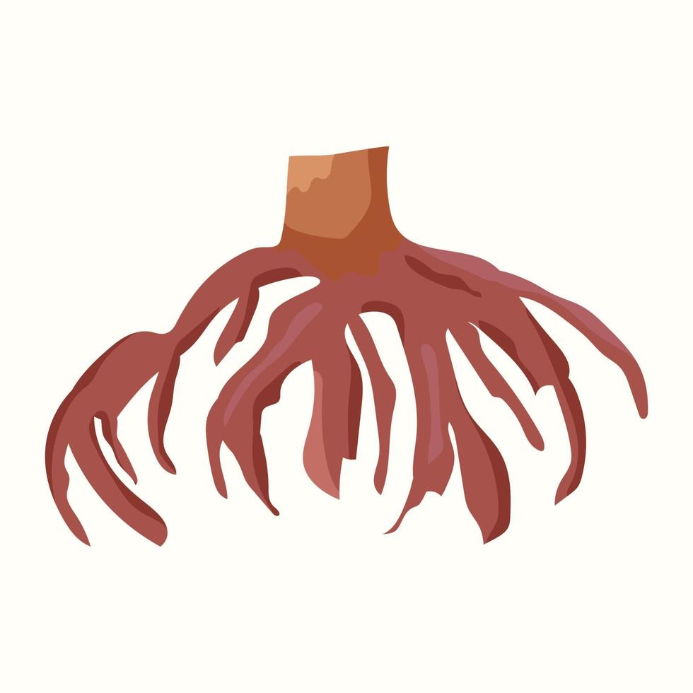 The roots of a large tree. Vector illustration in flat style