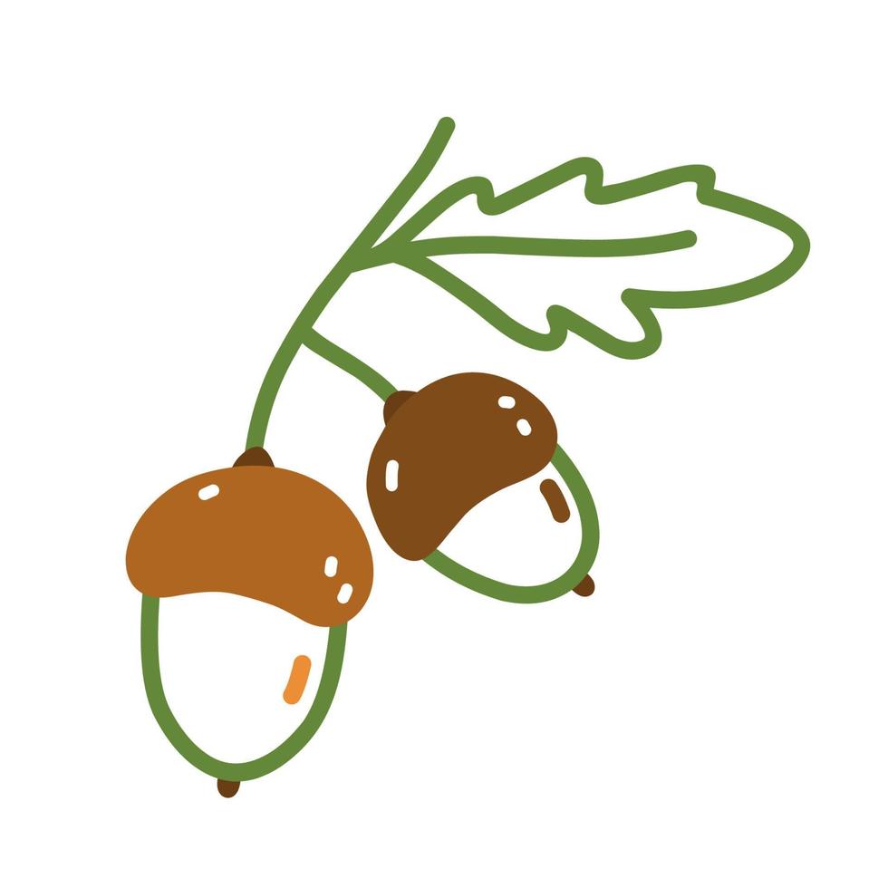Twig with acorns and leaves in doodle style vector