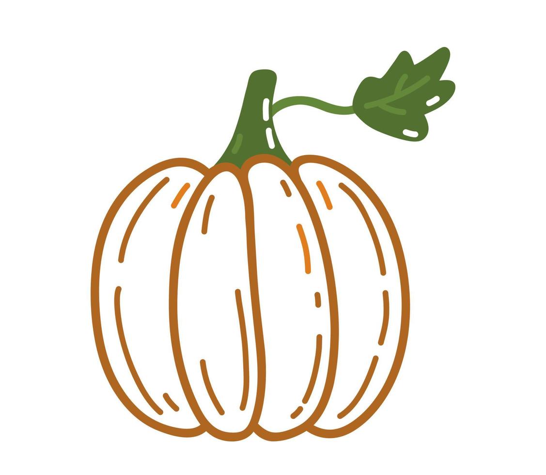 Cute pumpkin with green stem in doodle style vector