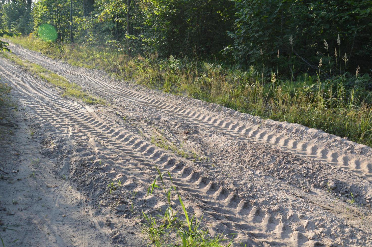 Truck tracks in forest rural road off road photo