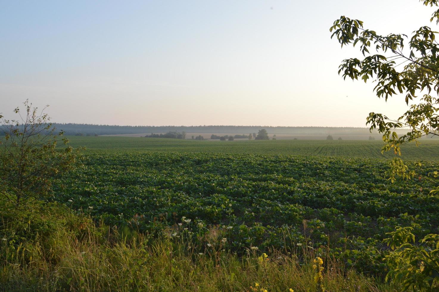 Panorama of the area in the village photo