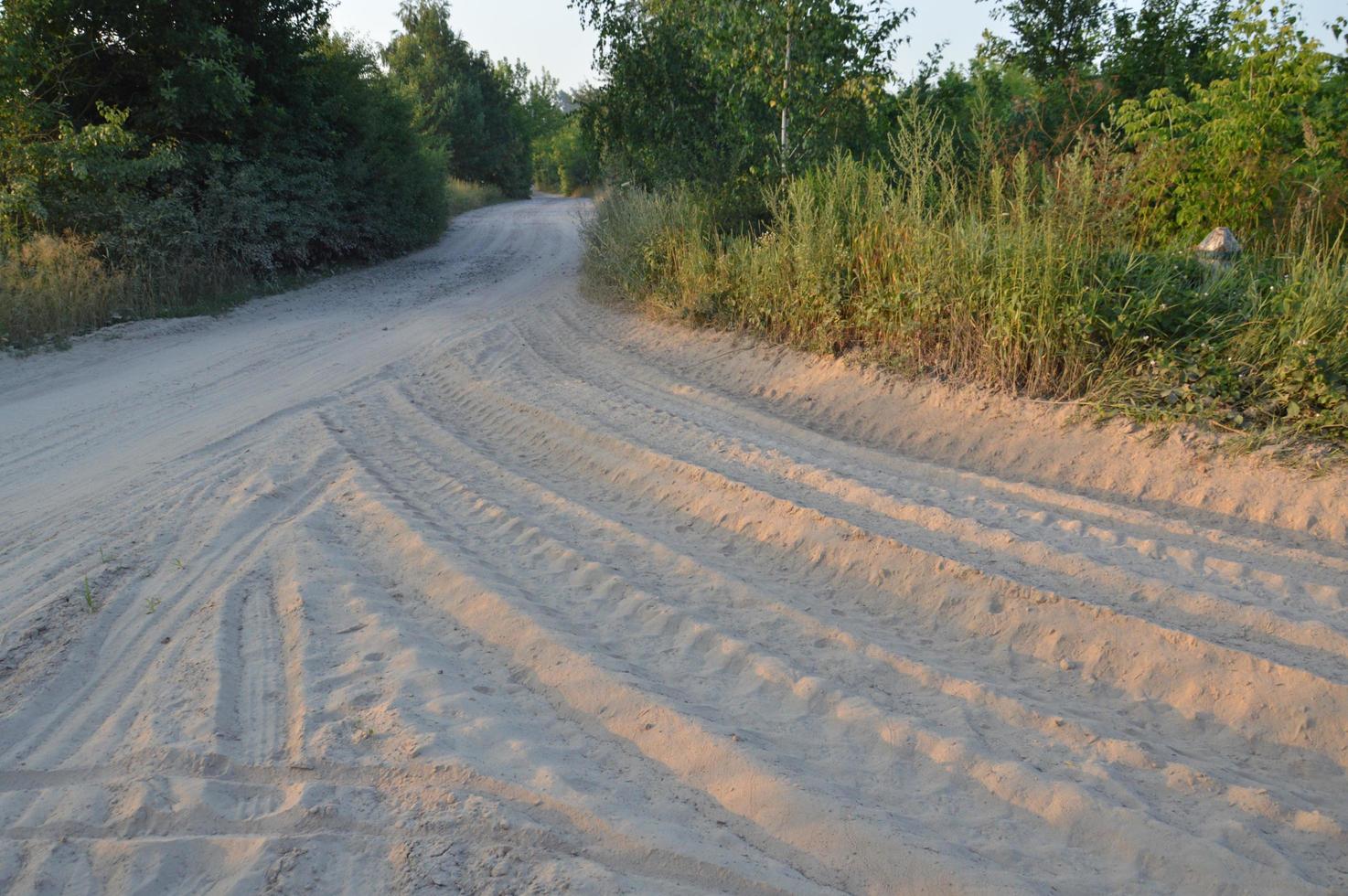 Truck tracks in forest rural road off road photo