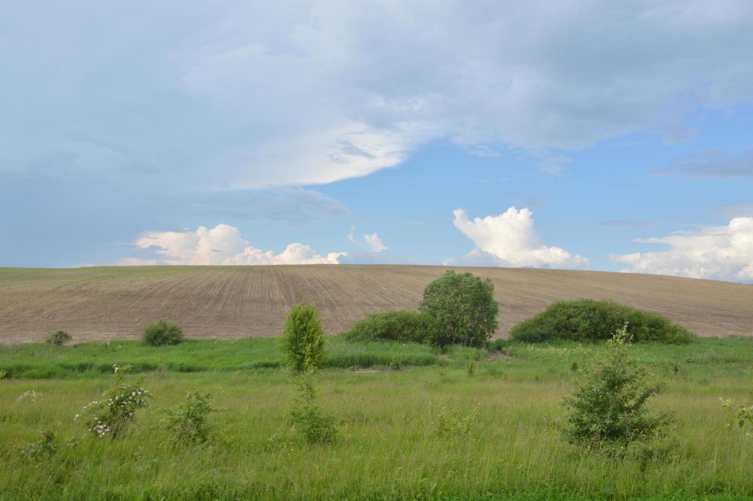 A plowed field in the hills photo