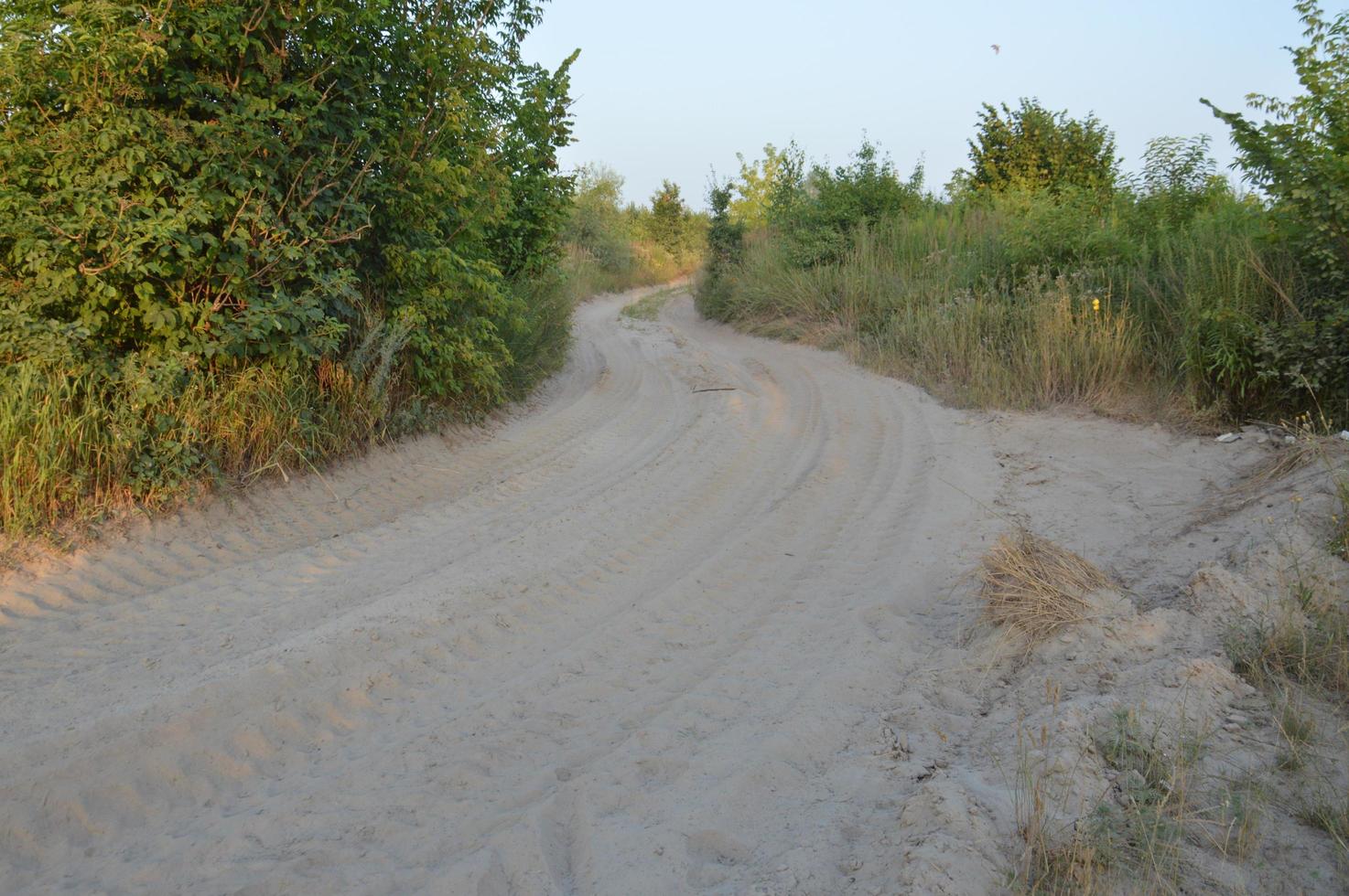 Truck tracks in forest rural road off road photo