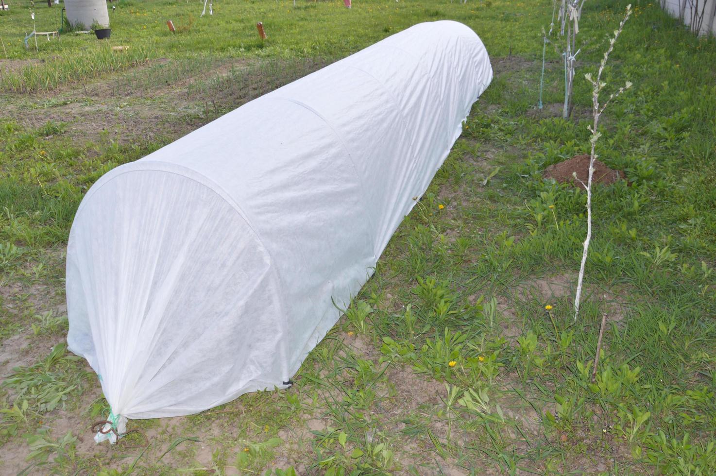 Greenhouse for planting vegetables in the country photo