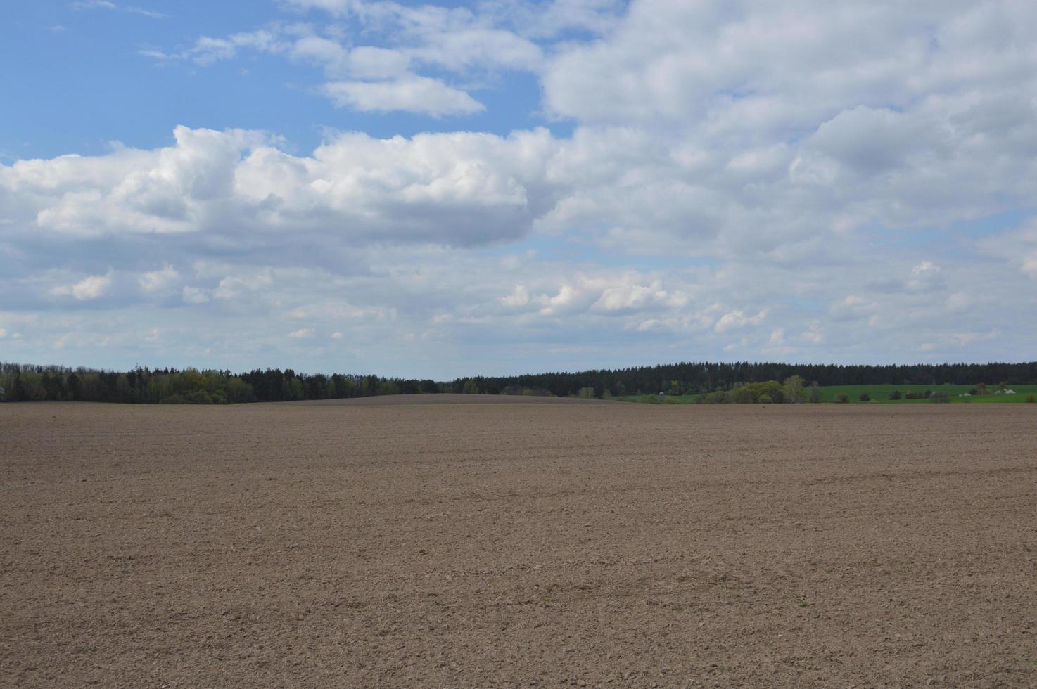 Panorama of a spring field weeded by a tractor photo