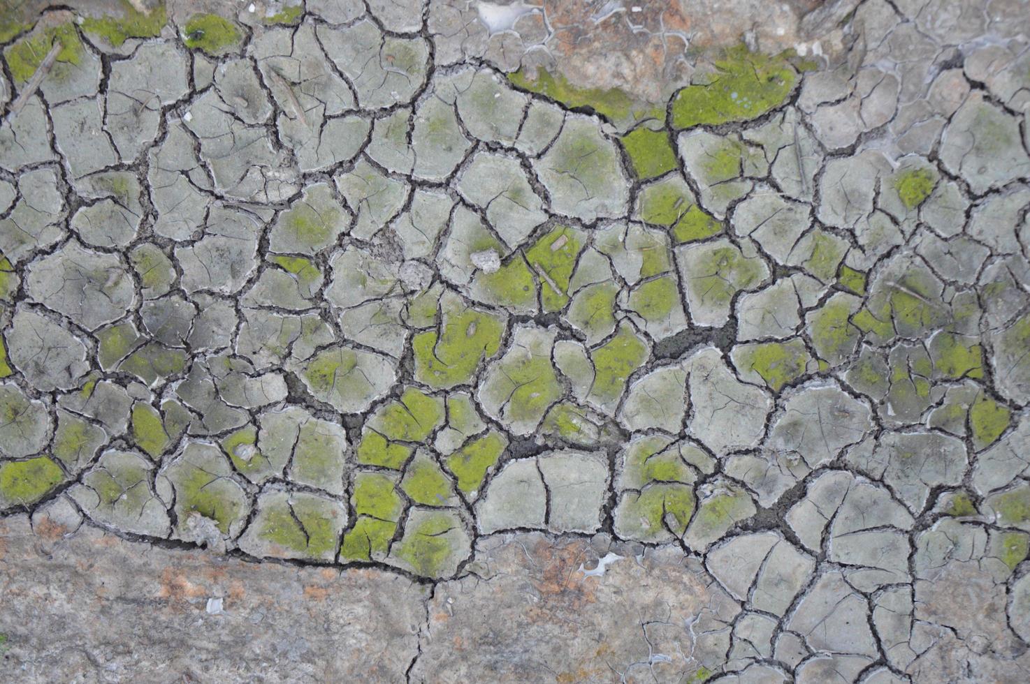 Dry and cracked ground texture photo