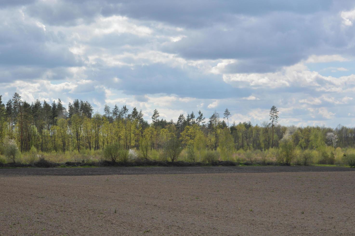 Panorama de un campo de primavera desyerbado por un tractor foto