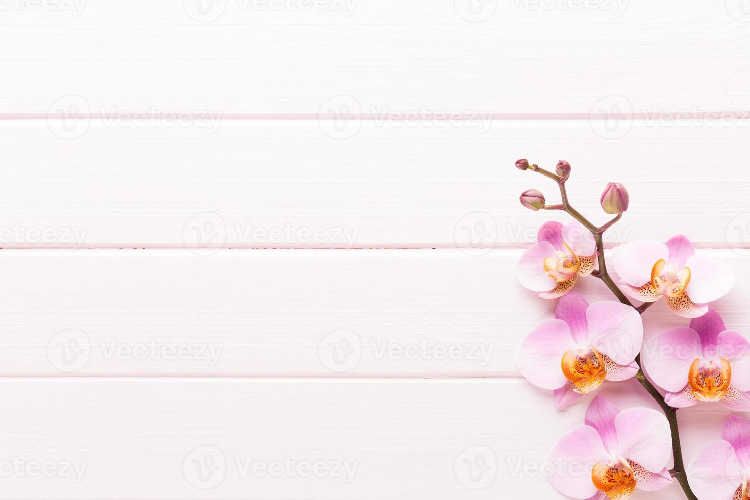 Orchid flower on the wooden pastel background. Spa and wellness scene. photo