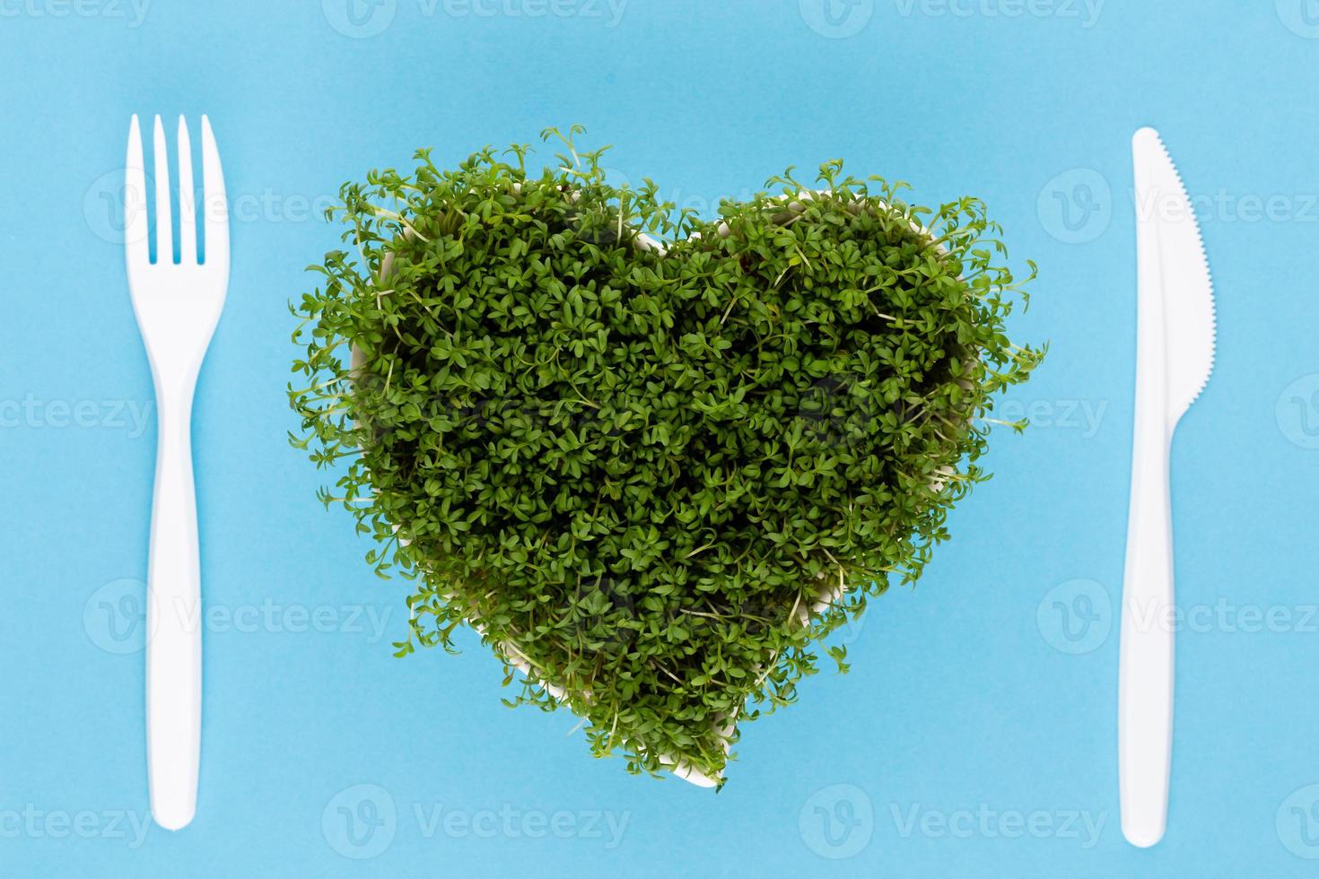 Creative layout made of sprout seed heart bowl. Flat lay, top view. Food ingredient pattern. photo