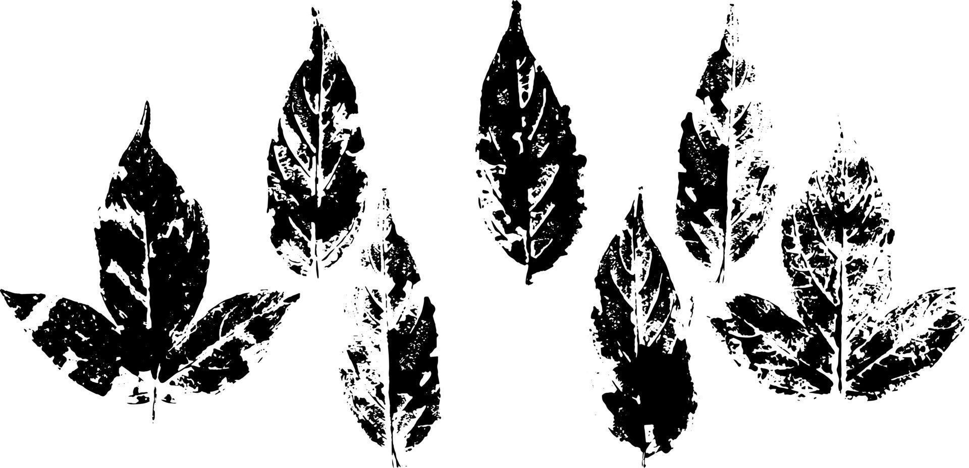 fallen autumn leaves vector set  stamps of natural leaves paint on paper.