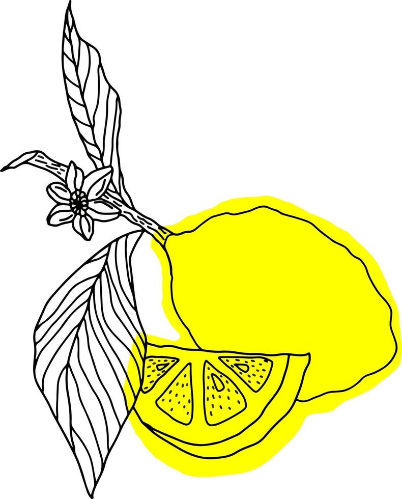vector  lemons whole fruits isolated
