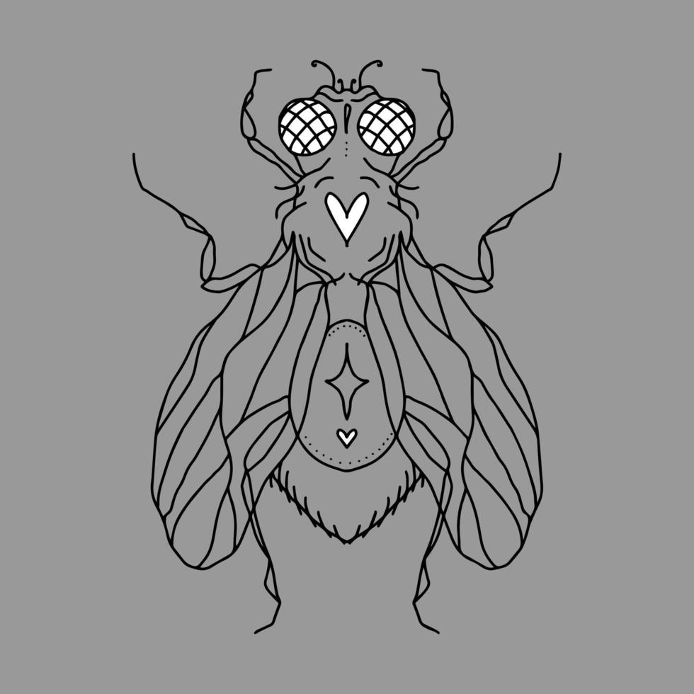 fly silhouette with hearts, eyes, wings, paws, dots and a star. Vector isolated hand drawing insect