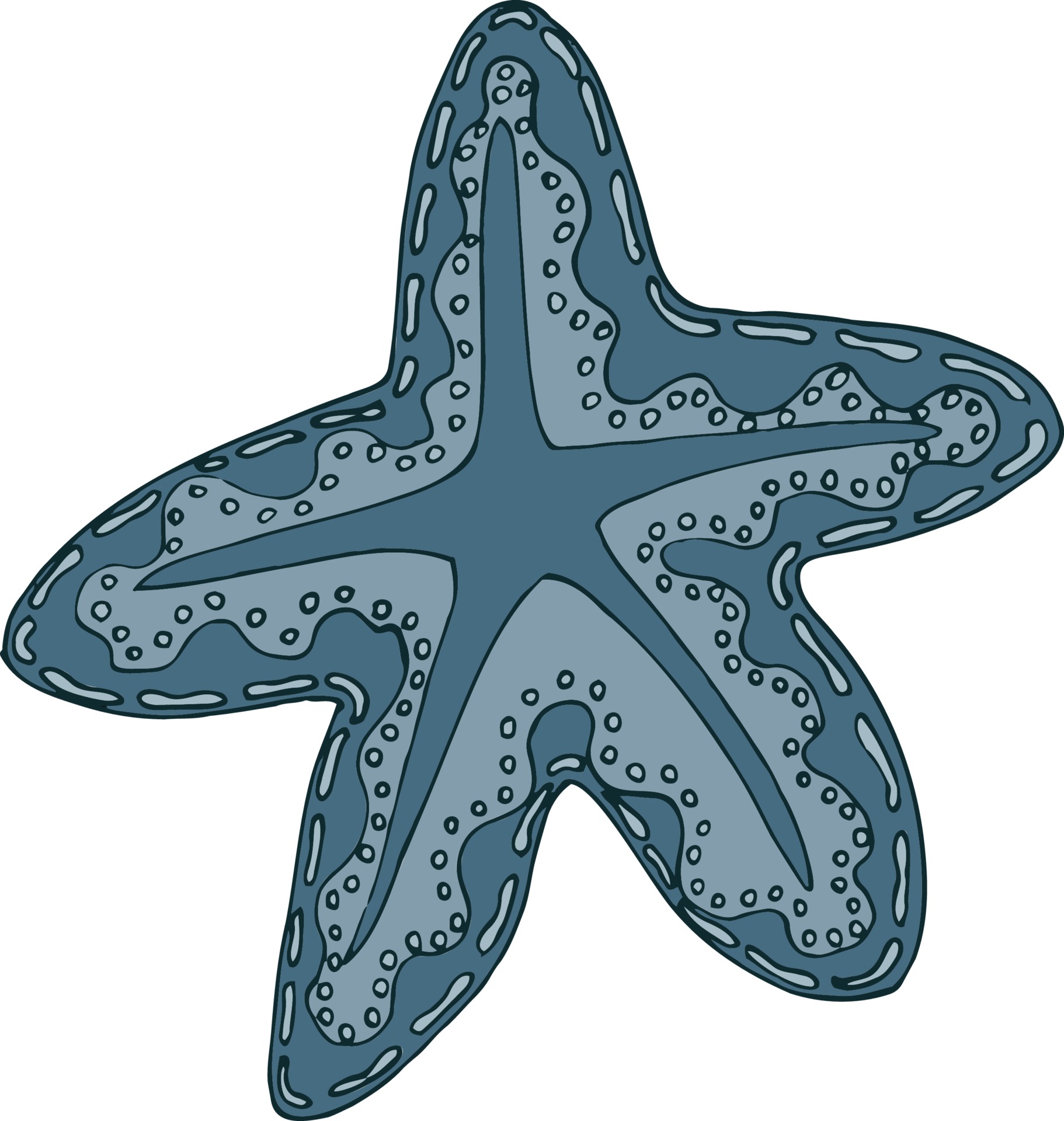 Cartoon Drawing Tutorial Http Drawingmanuals Com Manual - Easy To Draw  Starfish Transparent PNG - 720x1280 - Free Download on NicePNG