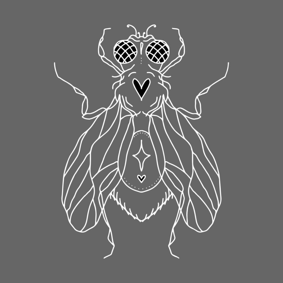 fly silhouette with hearts, eyes, wings, paws, dots and a star. Vector isolated hand drawing insect