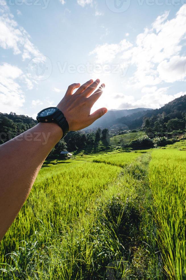 campos de arroz en la montaña por la noche foto