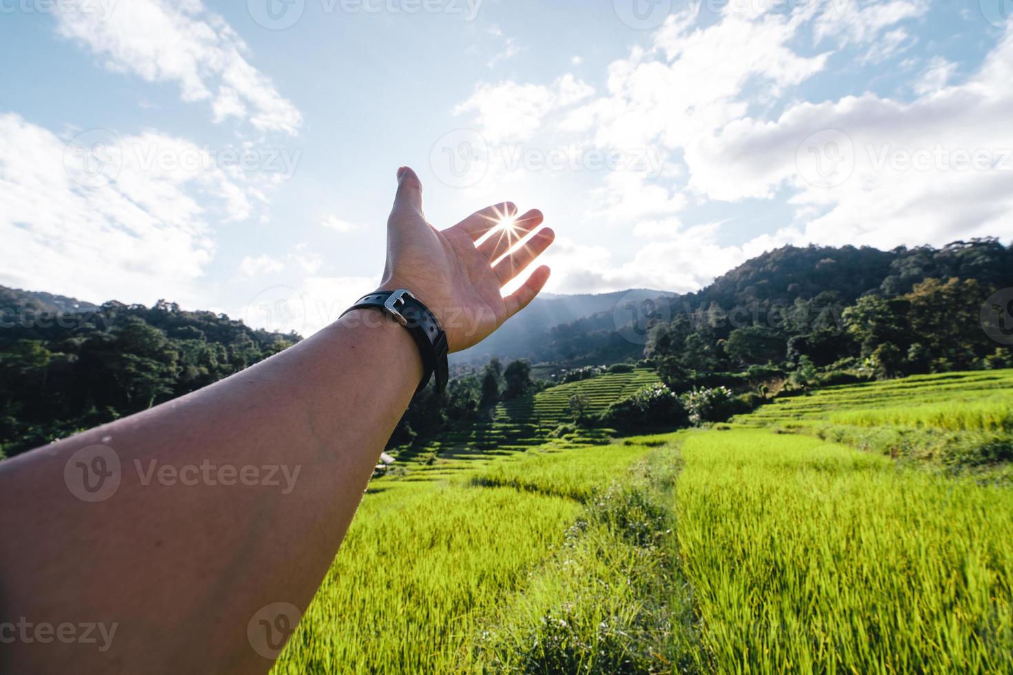 Rice fields on the mountain in the evening photo