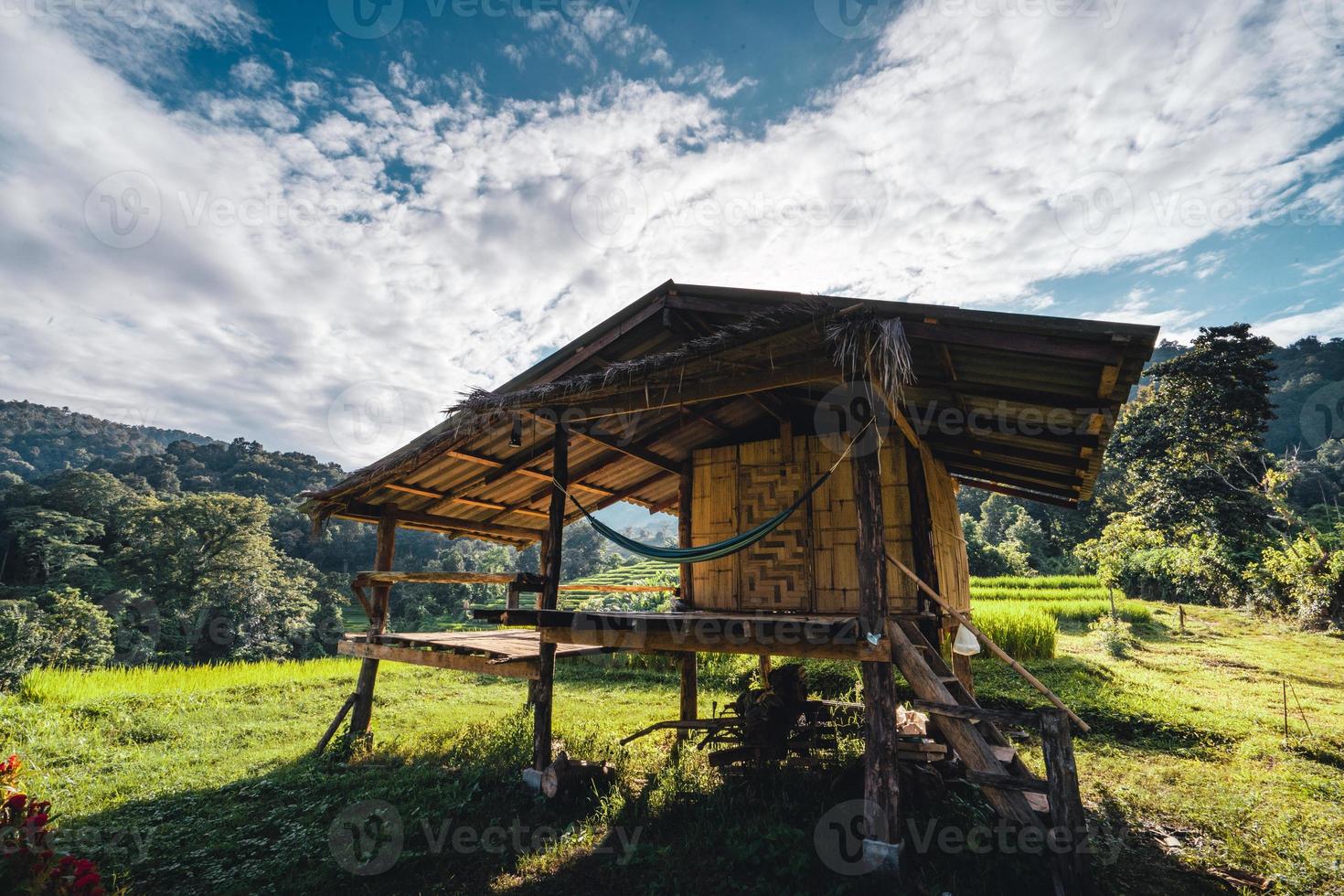 Rice fields on the mountain in the evening photo