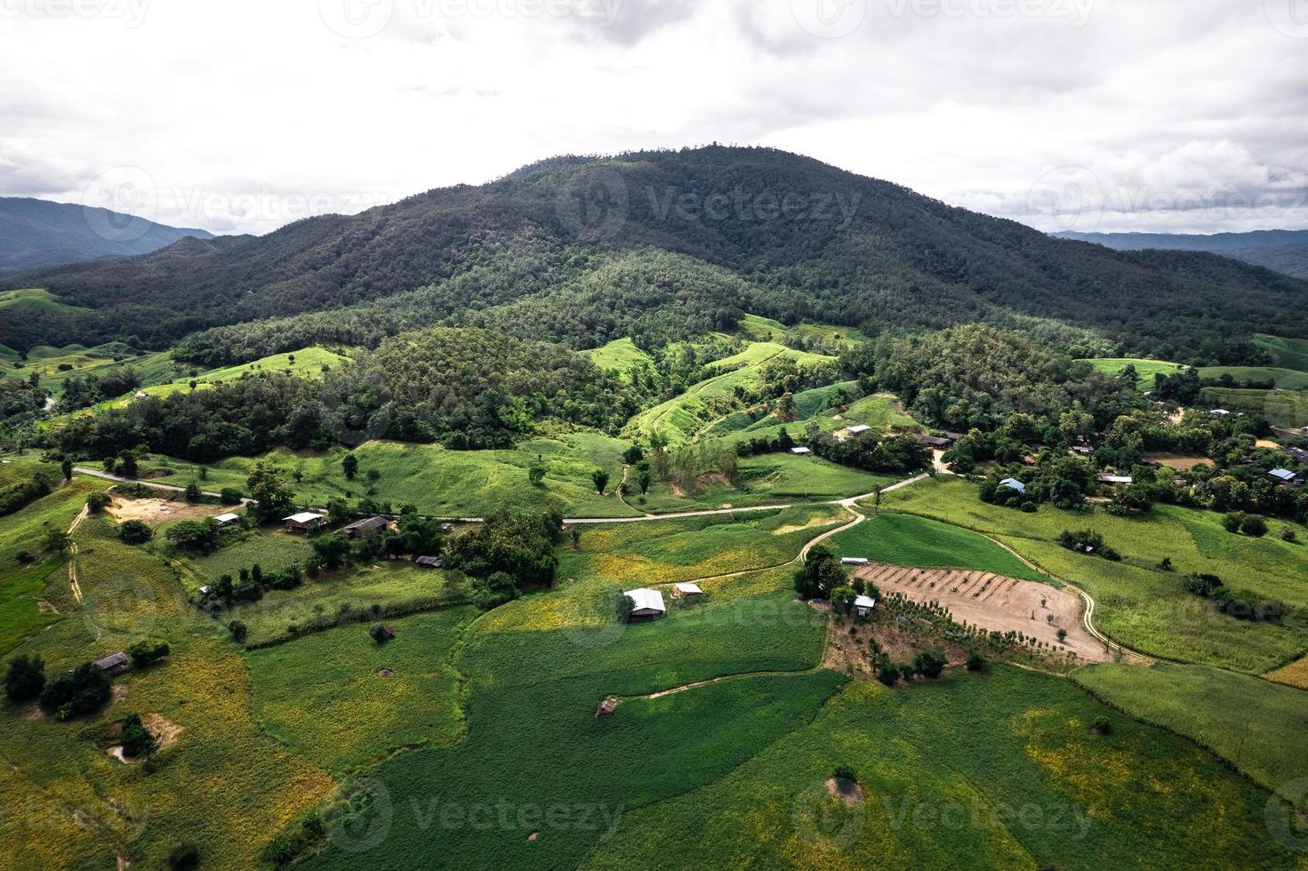 field scenery views and green fields on a clear day photo