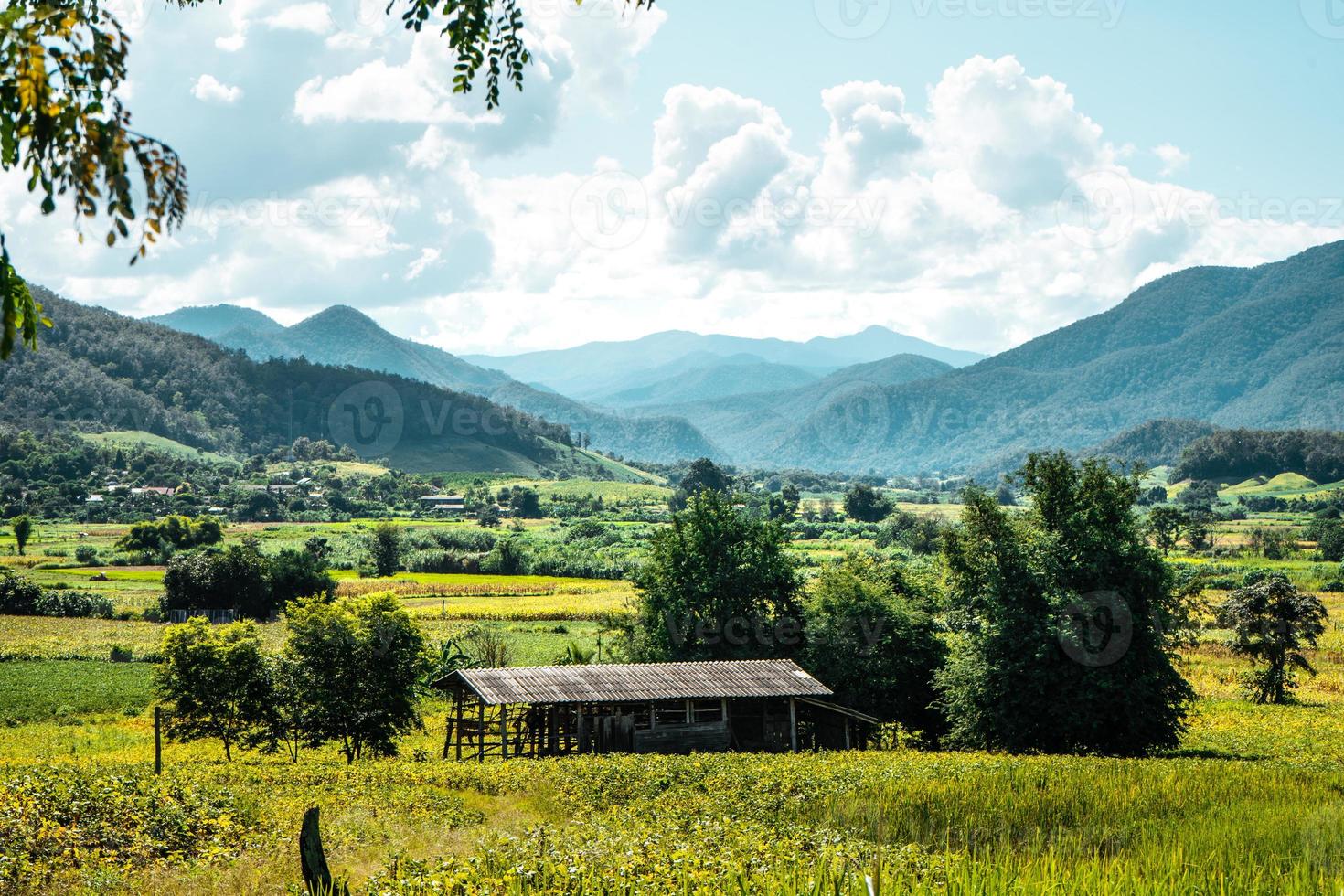 vistas del paisaje de campo y campos verdes en un día despejado. foto