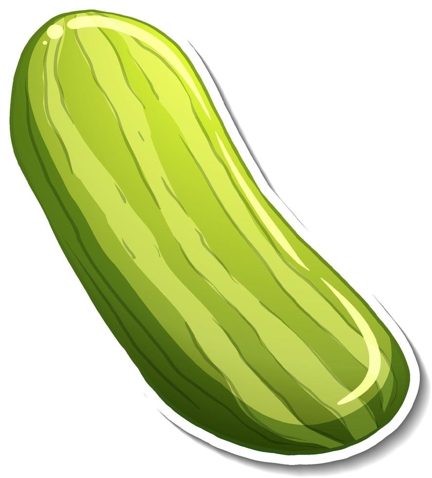 Cucumber sticker on white background vector