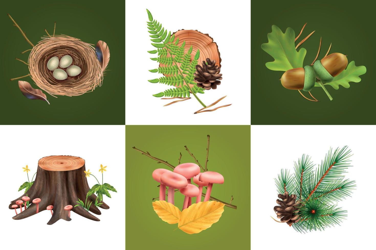 Realistic Botanical Design Concept vector