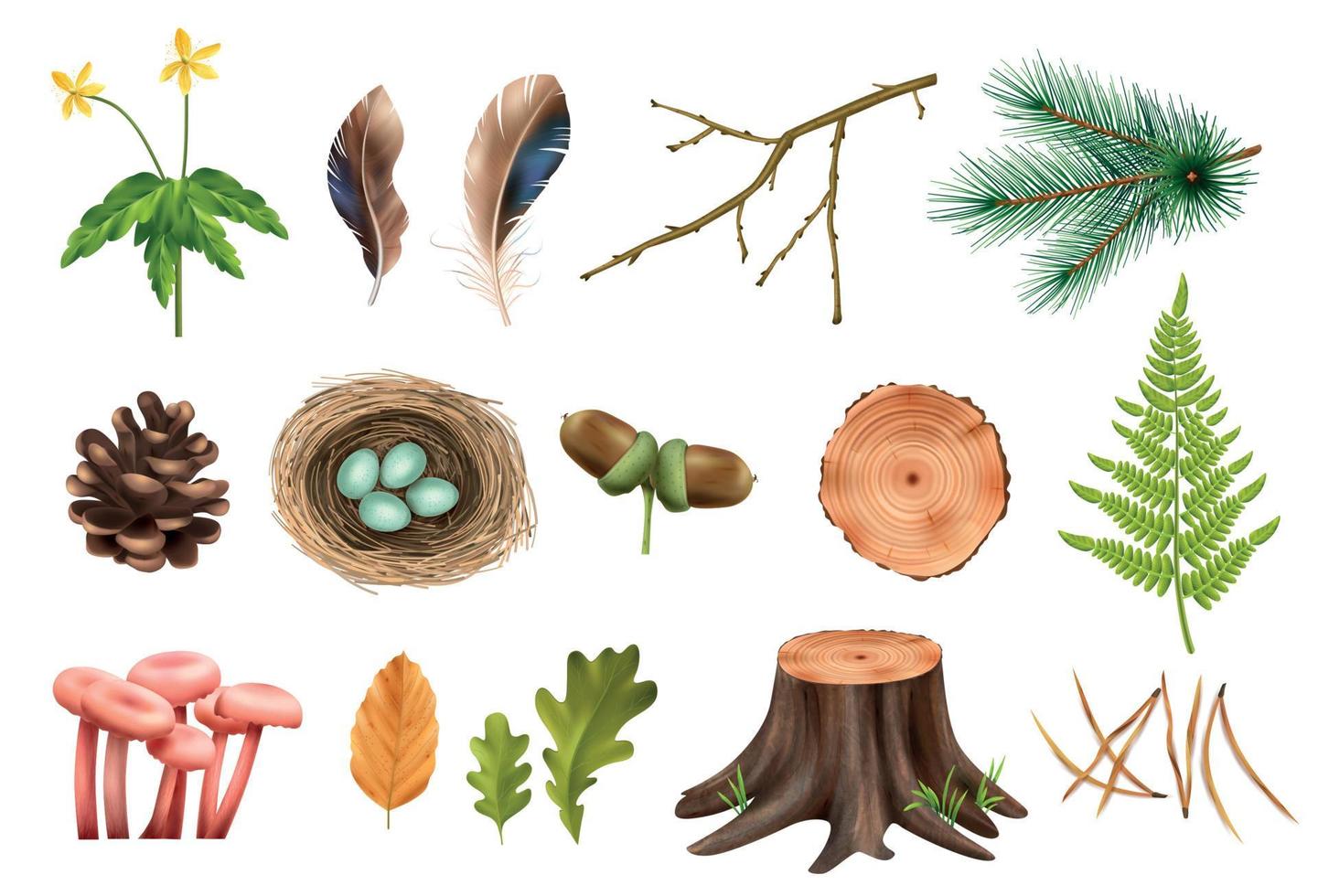 colección de iconos de bosque realista vector