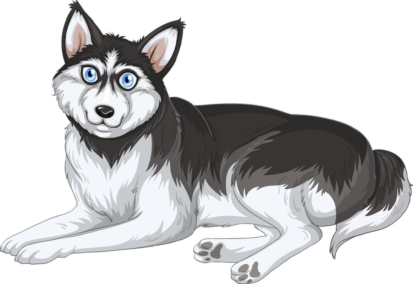 Dibujos animados de perro husky siberiano sobre fondo blanco vector