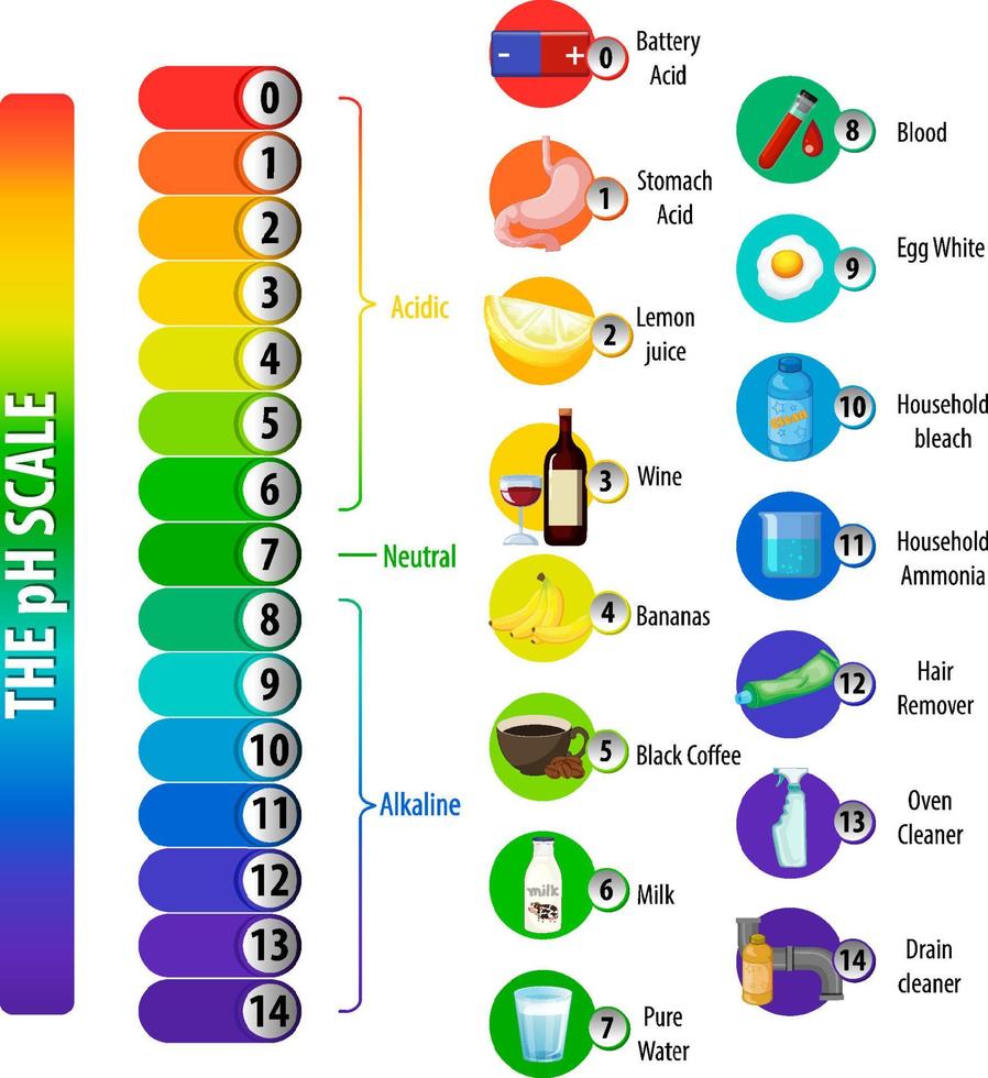 A pH scale on white background vector