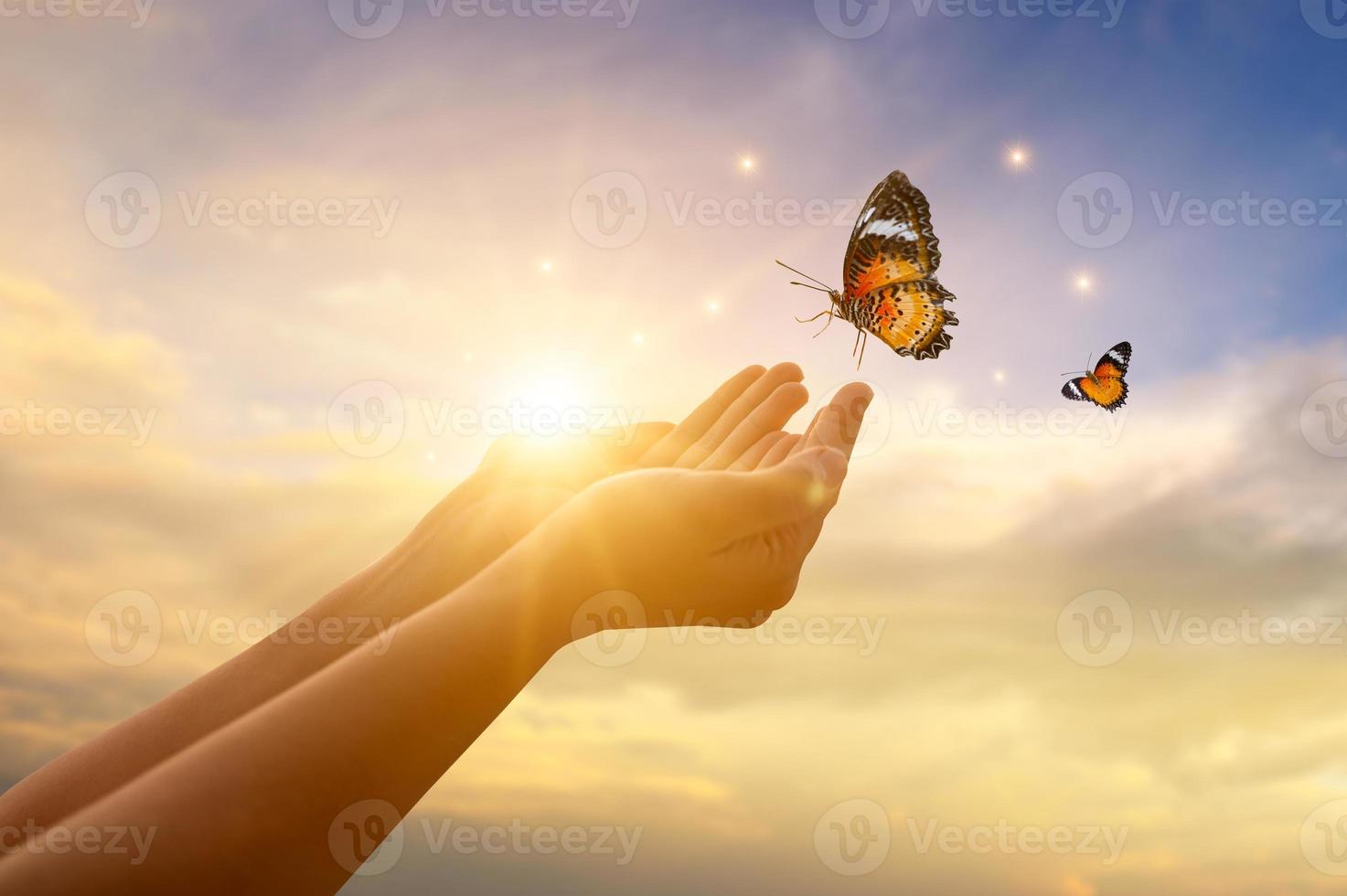 la niña libera a la mariposa del concepto de momento de libertad foto