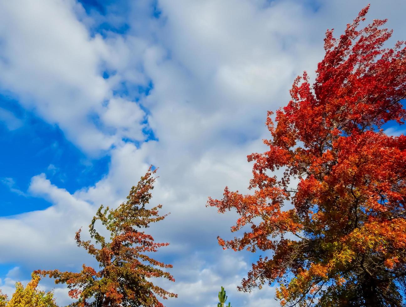 Skies in the fall in Redmond, OR photo