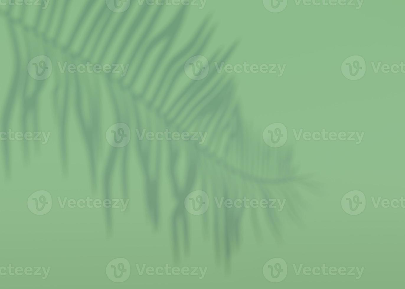 Abstract background of shadows palm leaves on a wall. 3d rendering. photo