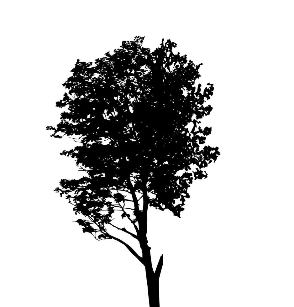 Tree Silhouette Isolated on White Backgorund. Vecrtor Illustration vector