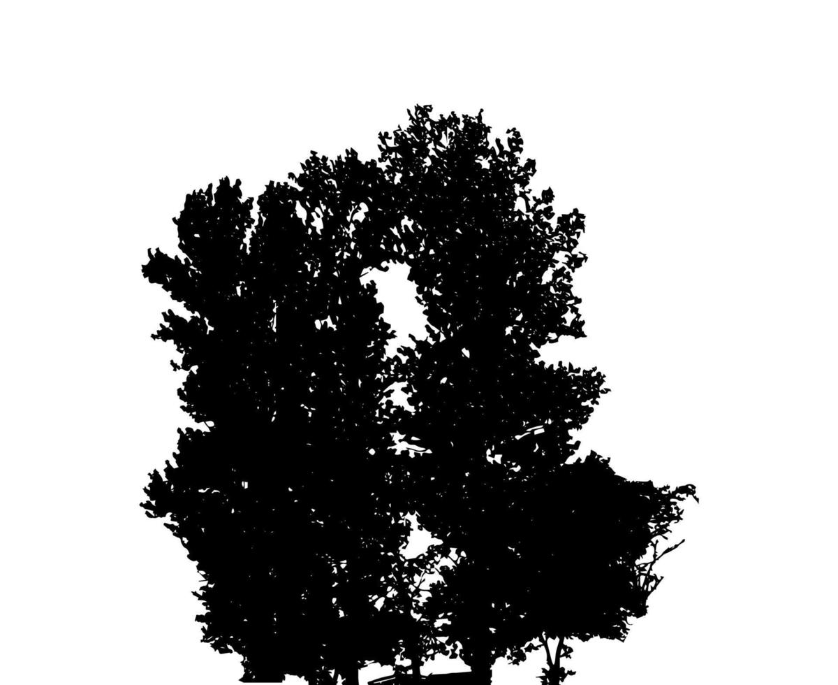 Tree Silhouette Isolated on White Backgorund. Vecrtor Illustration vector