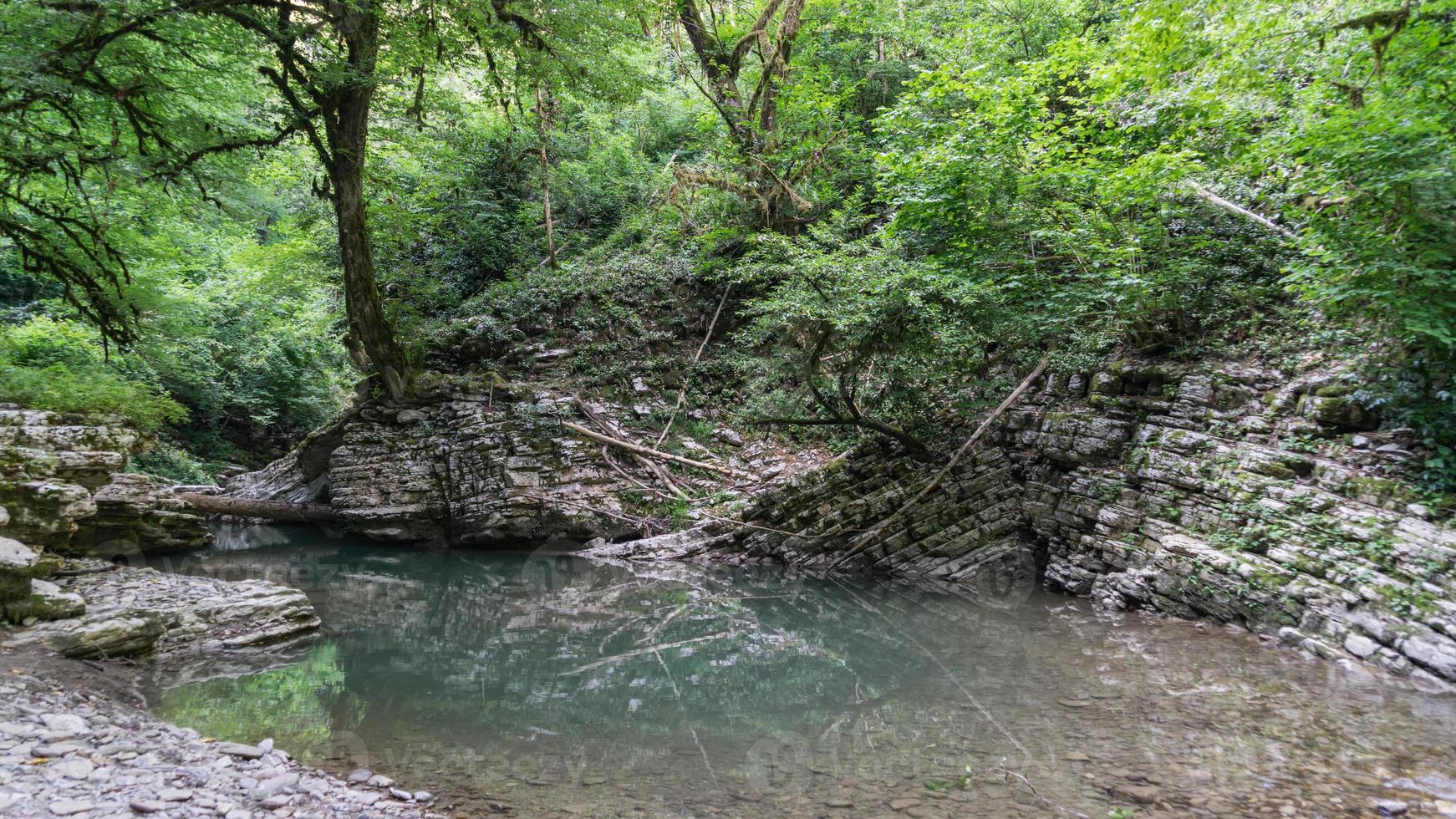 hermoso bosque y río de montaña en el cañón de psakho, krasnodar krai, rusia. foto