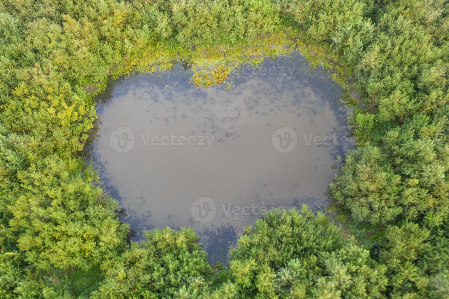 Aerial view of heart shaped natural lake in Tomsk, Summer in Siberia, Russia. photo