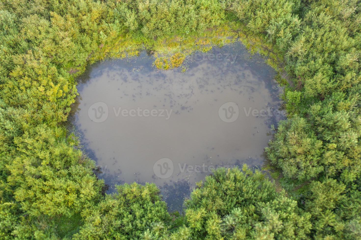 Vista aérea del lago natural en forma de corazón en tomsk, verano en siberia, rusia. foto