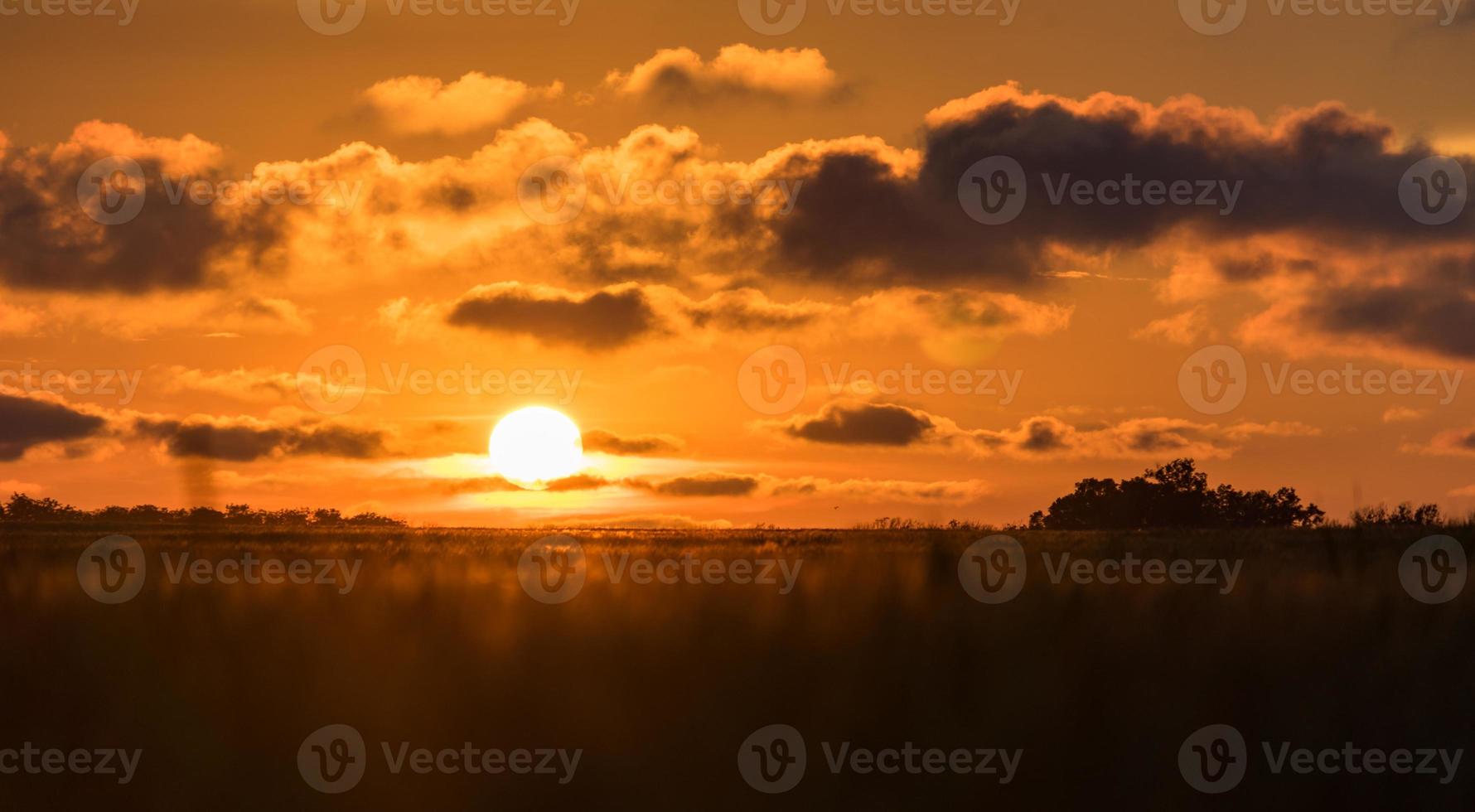 hermosa puesta de sol sobre el campo. blagoveshenskaya, rusia foto