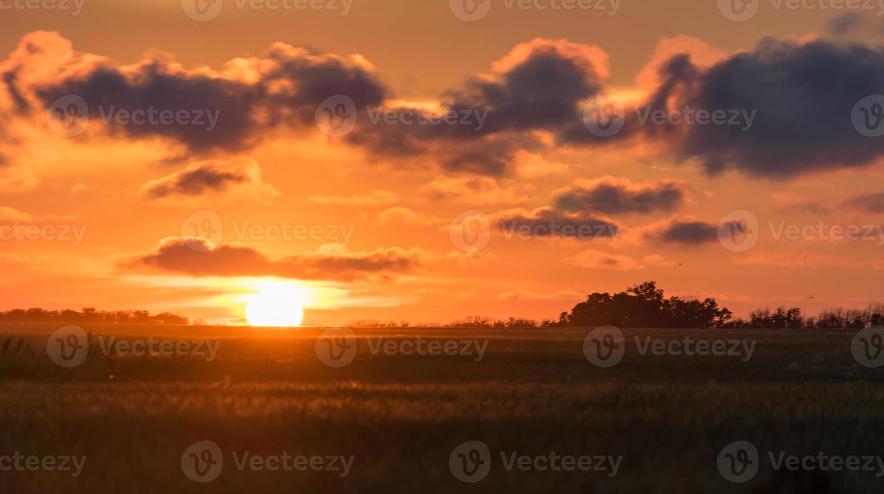 hermosa puesta de sol sobre el campo blagoveshenskaya, rusia foto