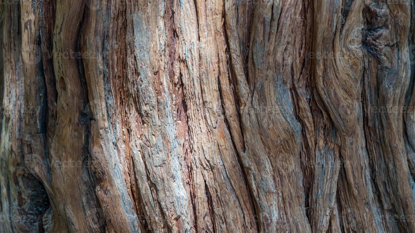 Wooden texture close-up photo