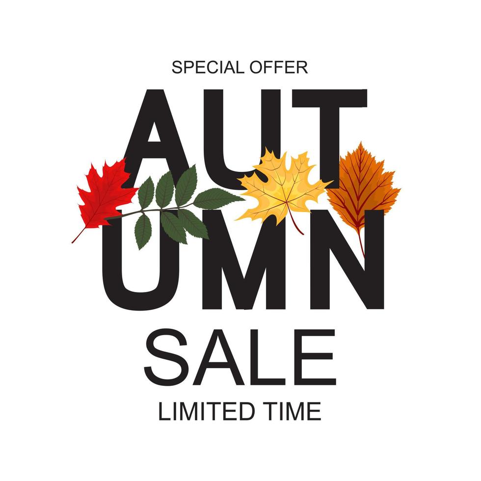 Abstract Autumn Sale Background with Falling Autumn Leaves vector