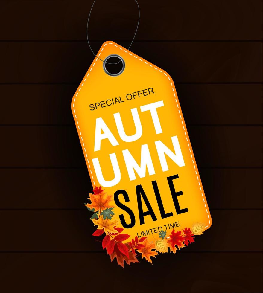 Abstract Autumn Sale Background with Falling Autumn Leaves vector