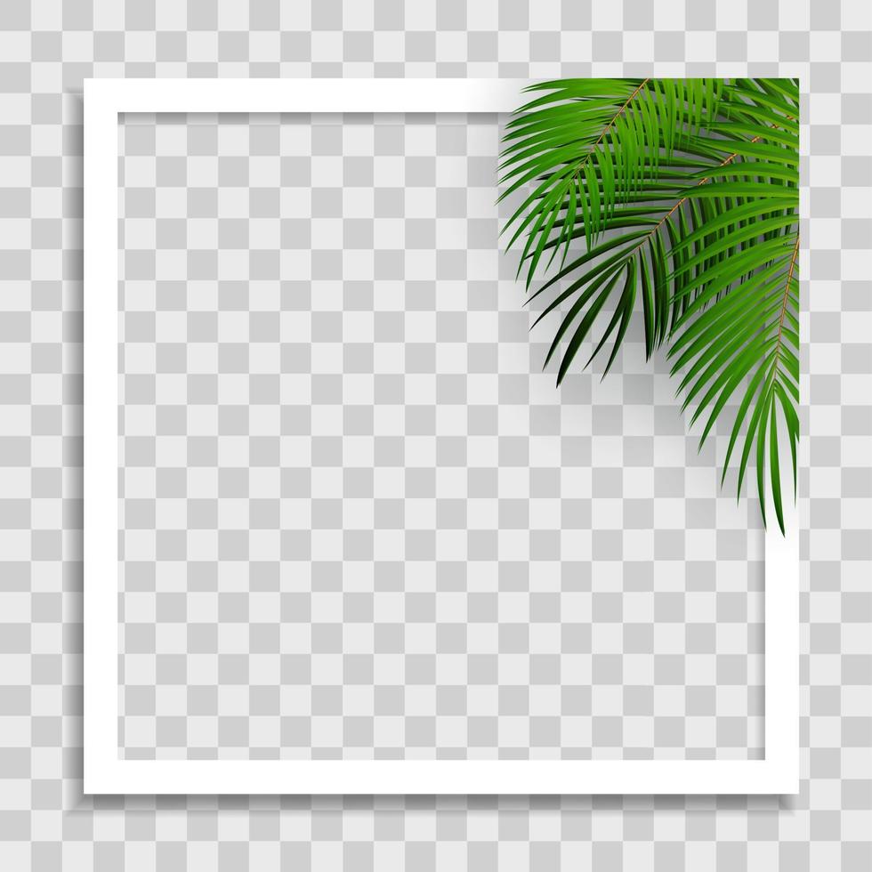 Empty Photo Frame Template with Summer Palm Leaves for Media Post vector