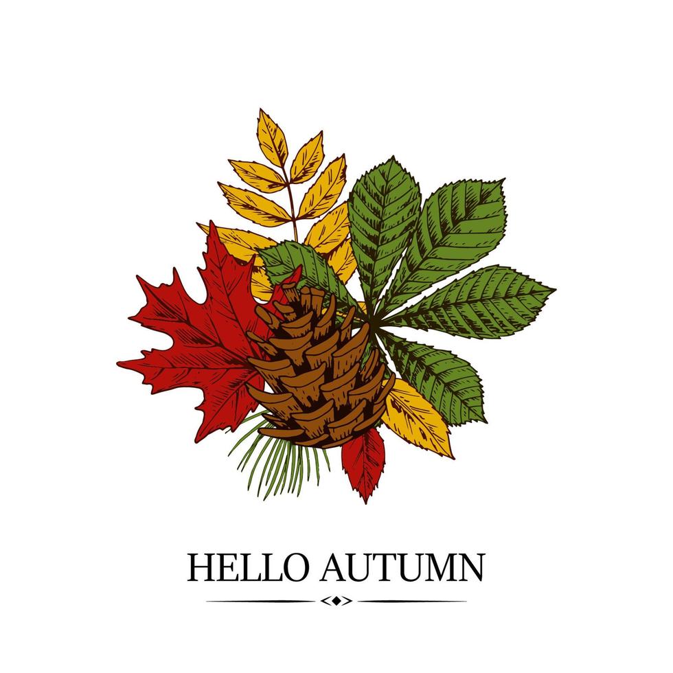 Hand drawn autumn design with chestnut, maple and rowanberry leaves and pinecone isolated on white background. Vector illustration in colored sketch style.