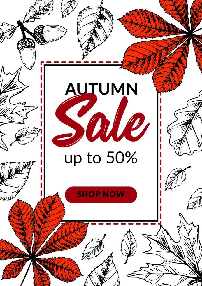 Hand drawn autumn sale banner with beautiful leaves. Vertical autumn design with space for text. Vector illustration