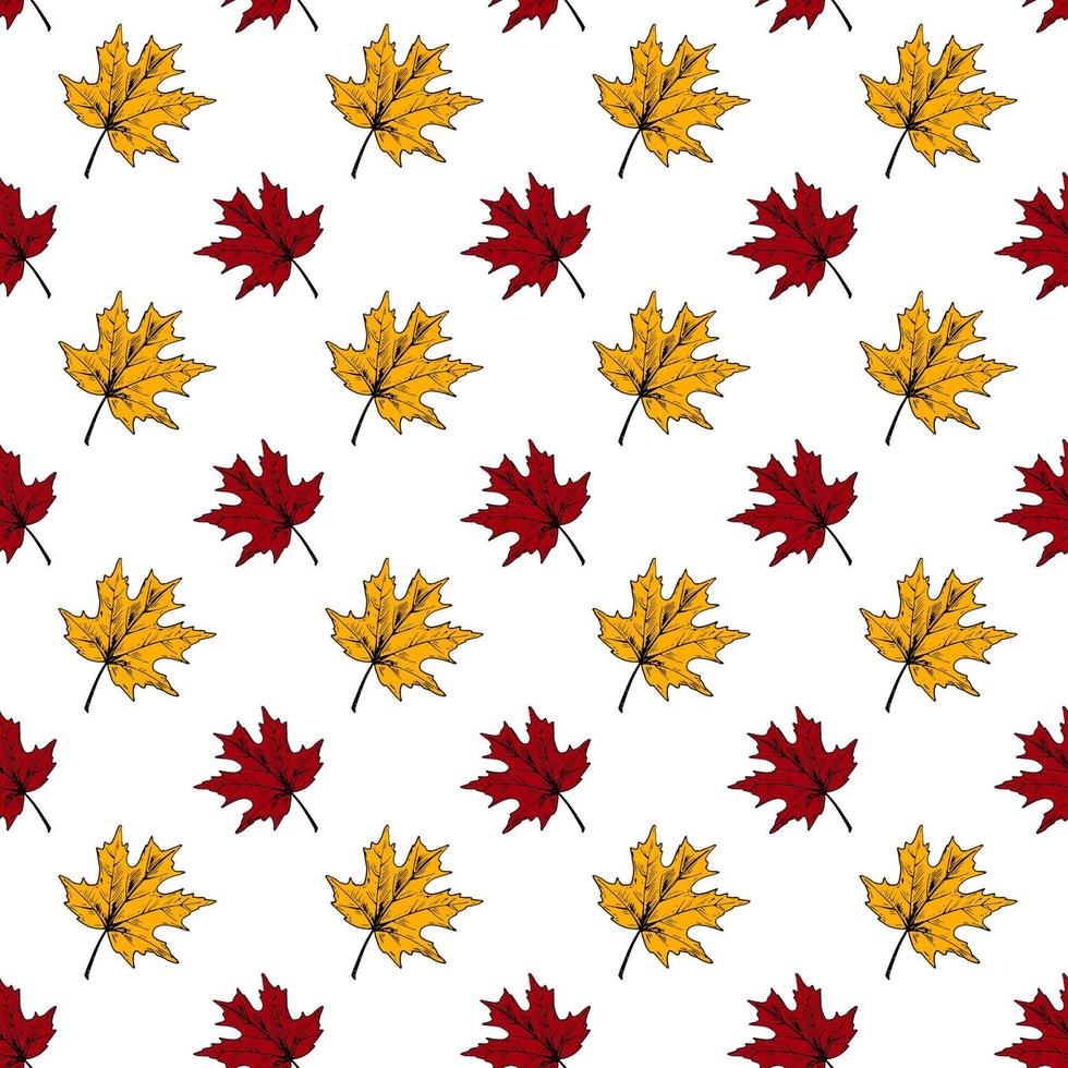 botánico de patrones sin fisuras con hojas de arce rojas y amarillas sobre fondo blanco. diseño de otoño. Ilustración de vector de boceto dibujado a mano. arte de línea vintage
