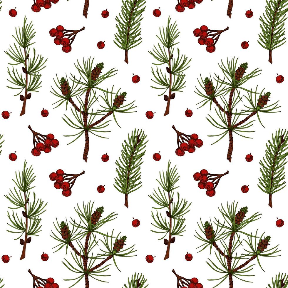 Hand drawn forest and Christmas seamless pattern with evergreen tree branches and red berries isolated on white background. Vector illustration in colored sketch style