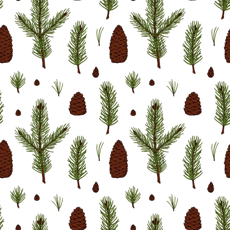 Hand drawn forest and Christmas seamless pattern with fir tree branches and cones isolated on white background. Vector illustration in colored sketch style