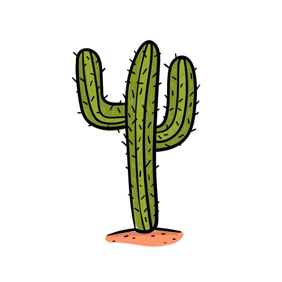 Hand drawing cactus in desert vector. vector