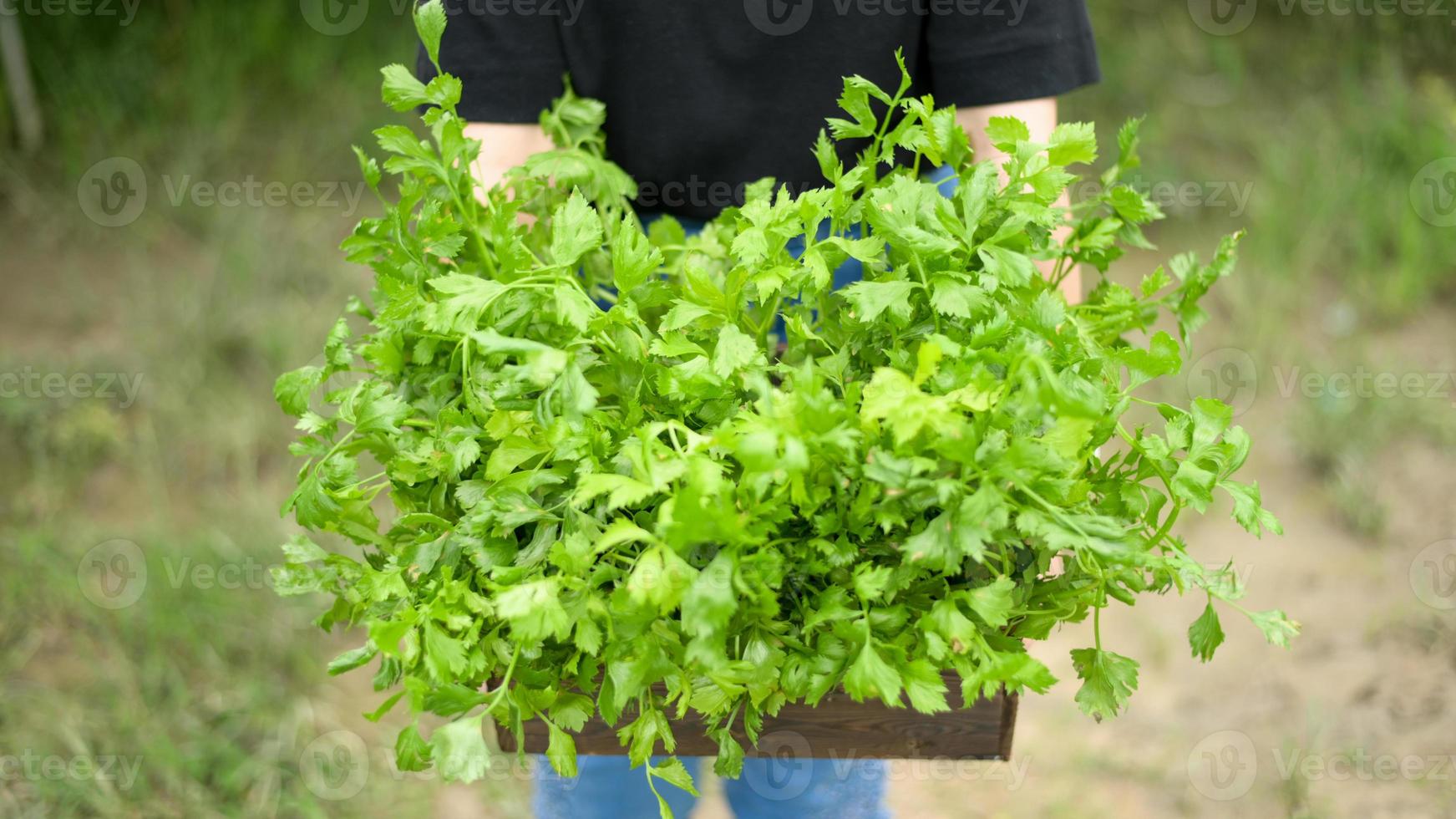 Cropped shot of A Young woman holding a wooden crate filled with natural fresh vegetables. photo